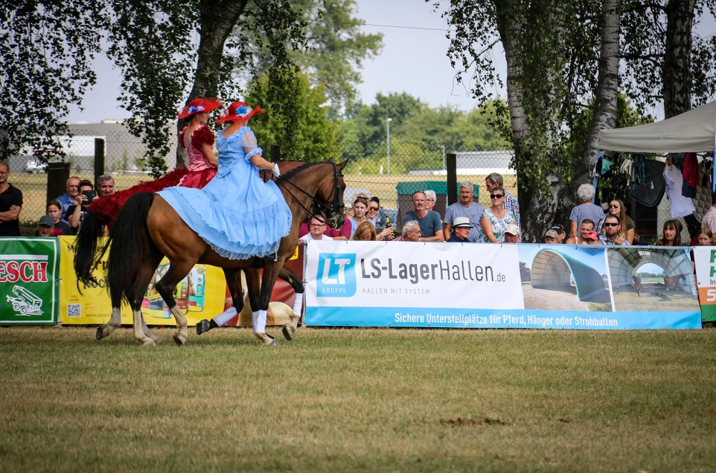 LS Lagerhallen zur Ponyschau Röhrsdorf